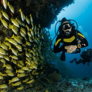 Búvárkodás és snorkeling